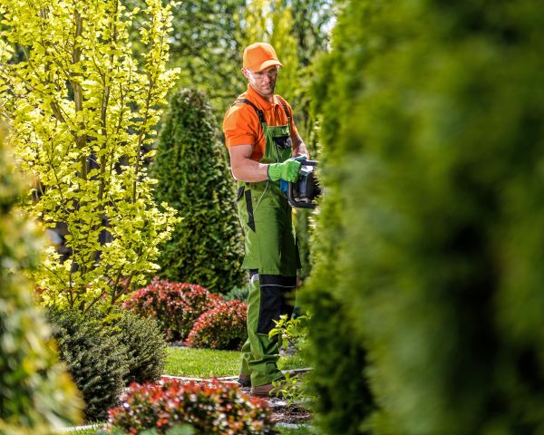jardinero podando jardin vertical